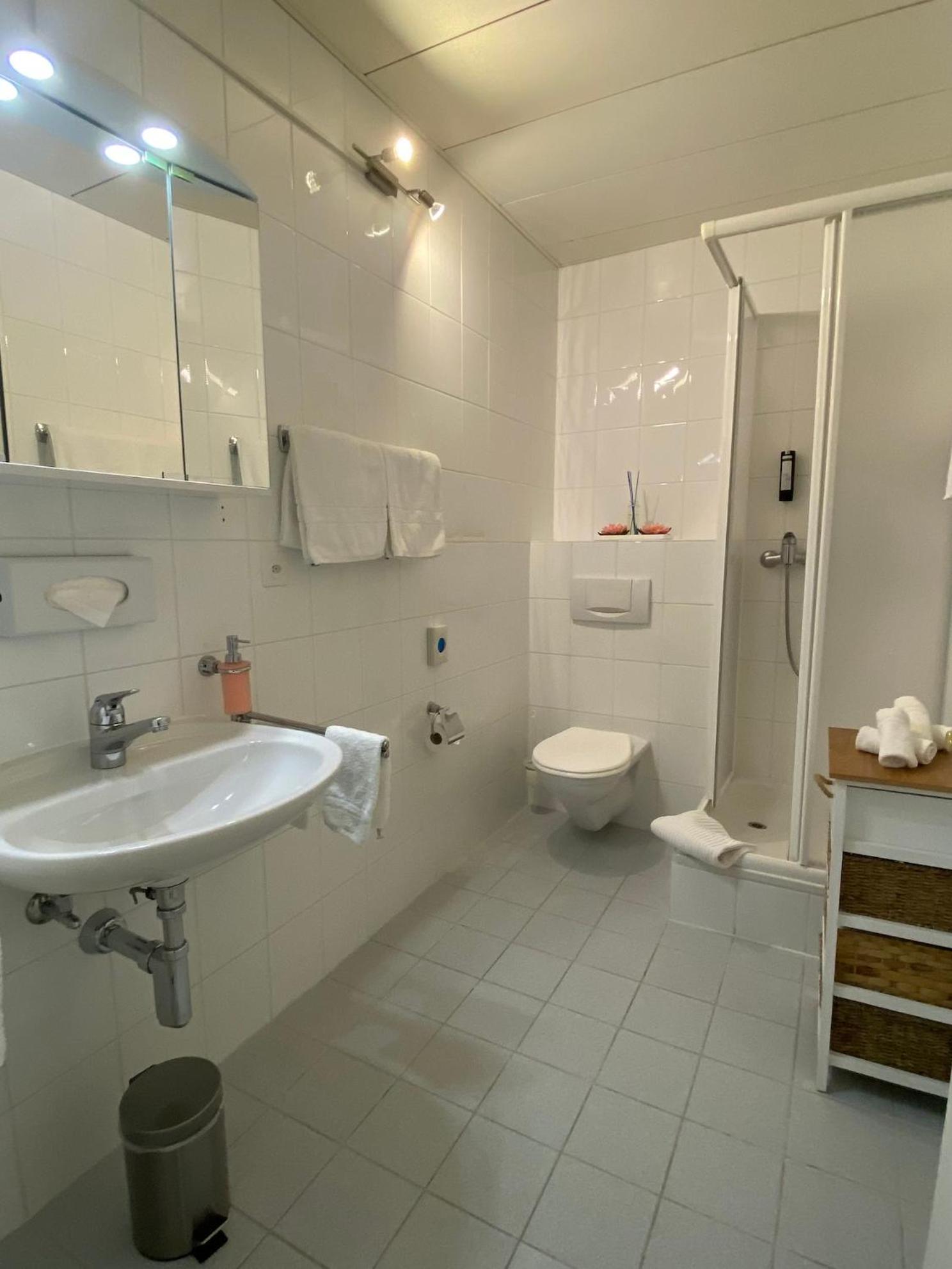 Boutique-Hotel Antica Posta Ascona Eksteriør billede